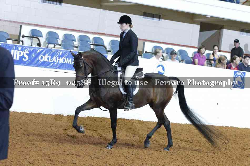 Proof Number 15R9_04588