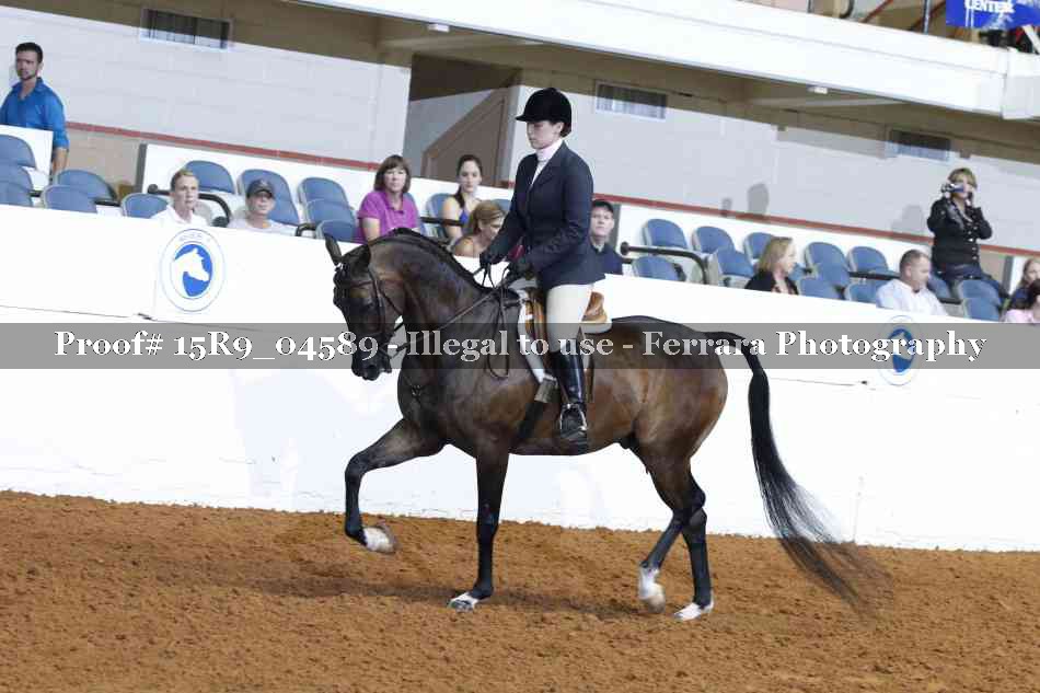 Proof Number 15R9_04589
