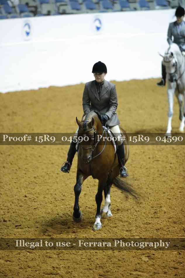 Proof Number 15R9_04590