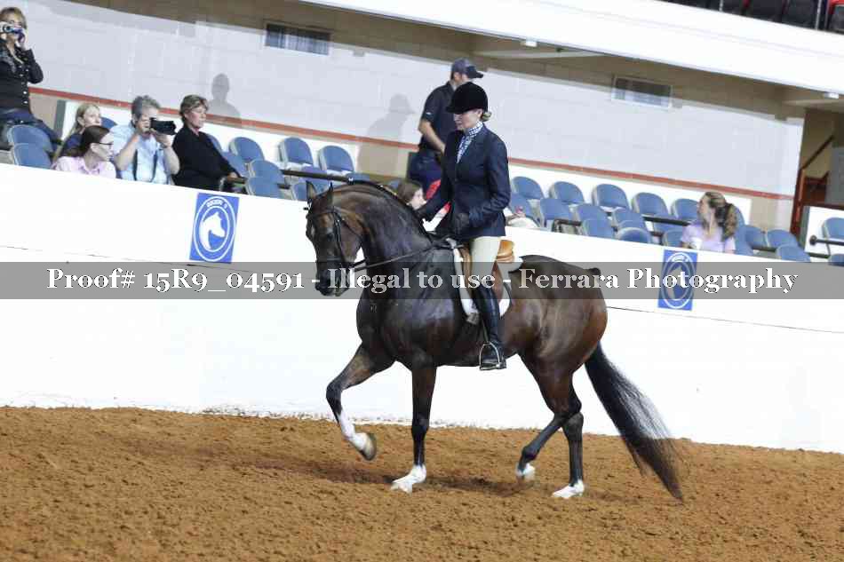Proof Number 15R9_04591
