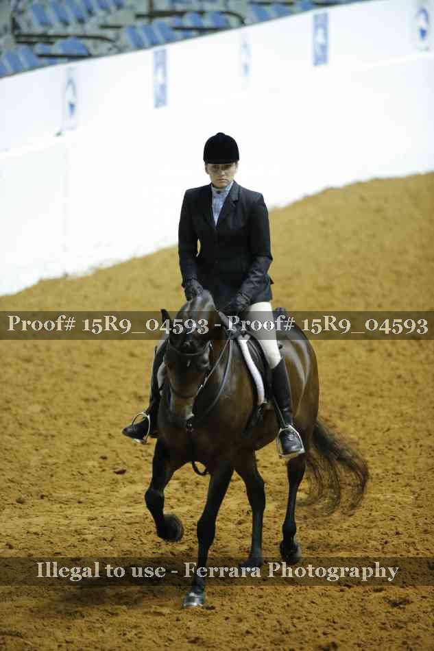 Proof Number 15R9_04593