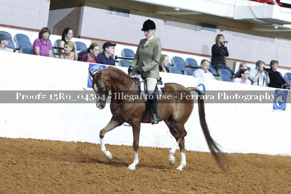 Proof Number 15R9_04594