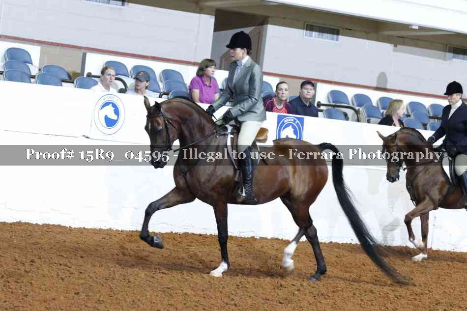 Proof Number 15R9_04595