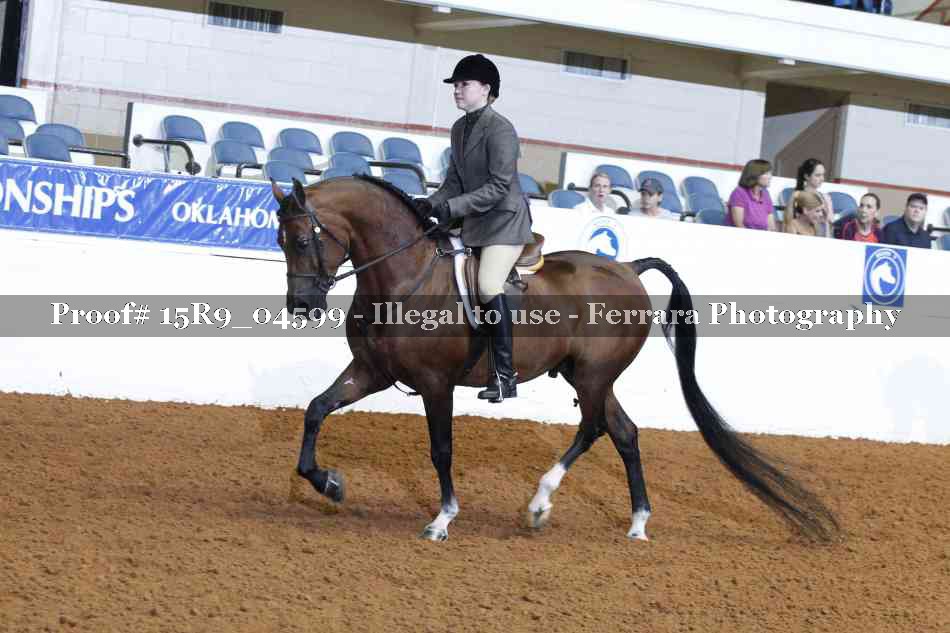 Proof Number 15R9_04599