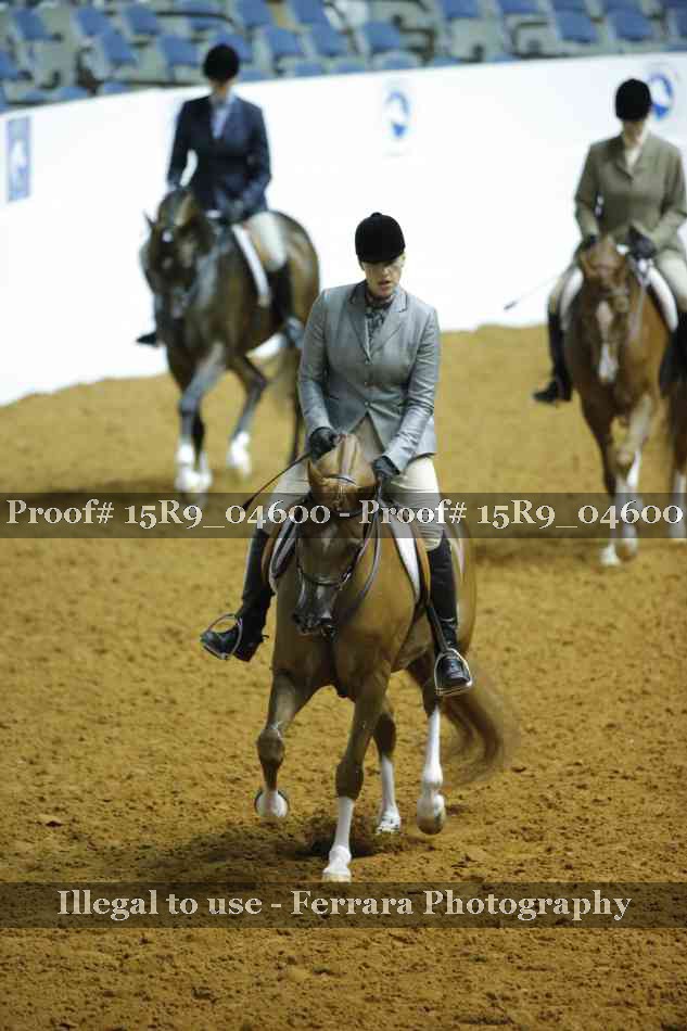 Proof Number 15R9_04600