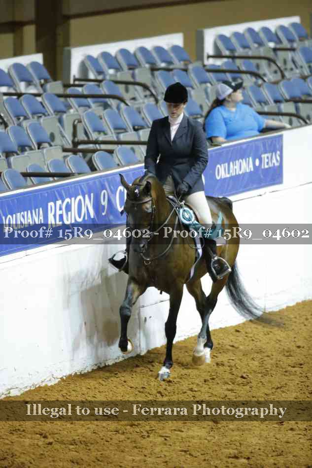 Proof Number 15R9_04602
