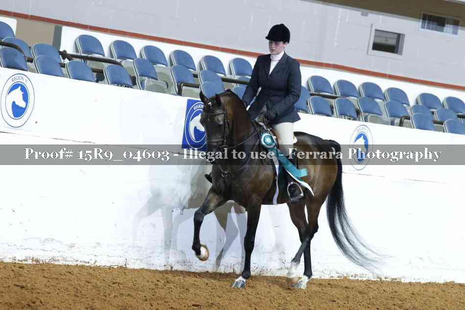 Proof Number 15R9_04603