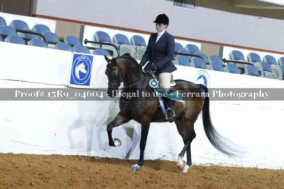 Proof Number 15R9_04604