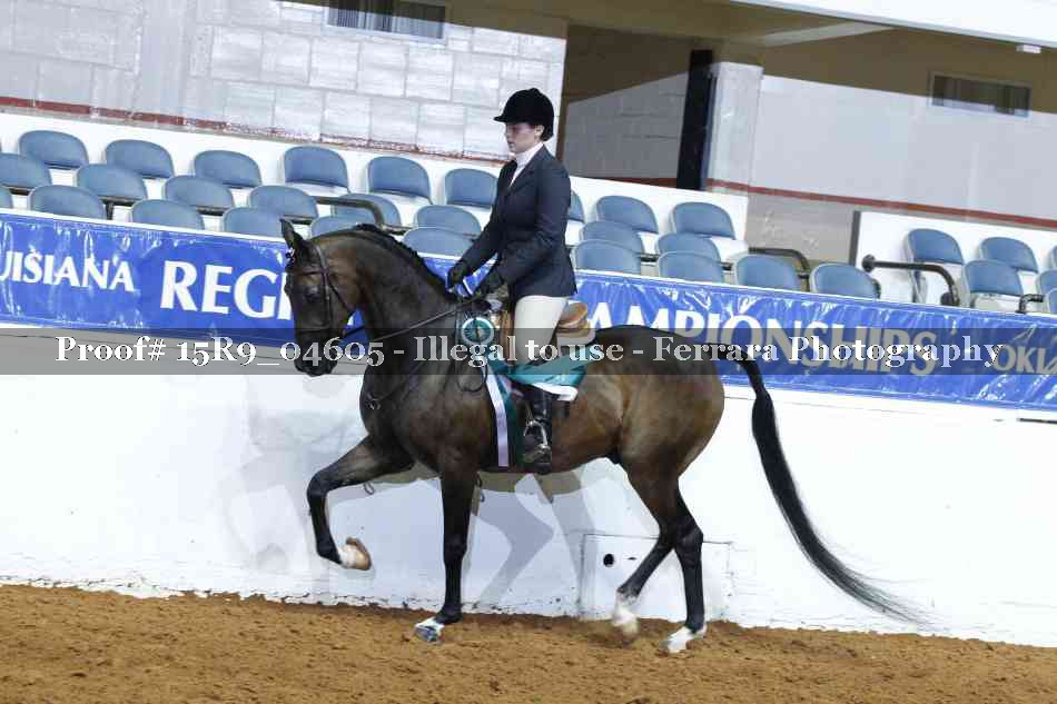 Proof Number 15R9_04605