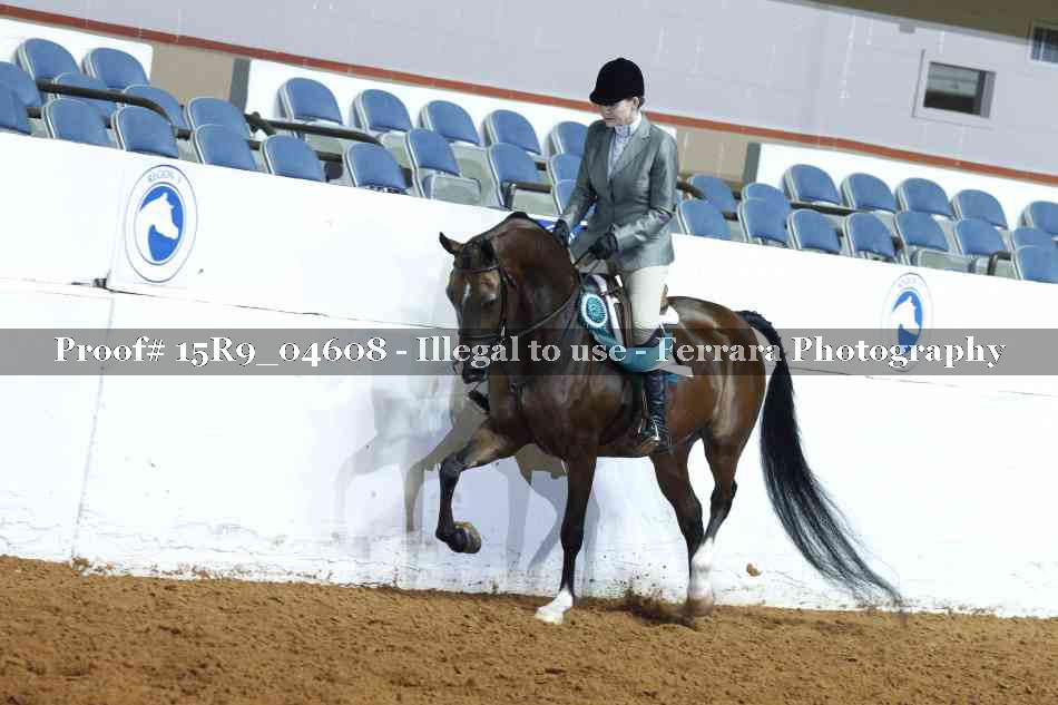 Proof Number 15R9_04608