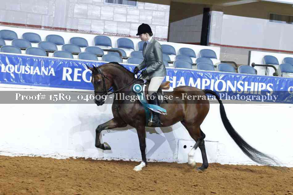 Proof Number 15R9_04609