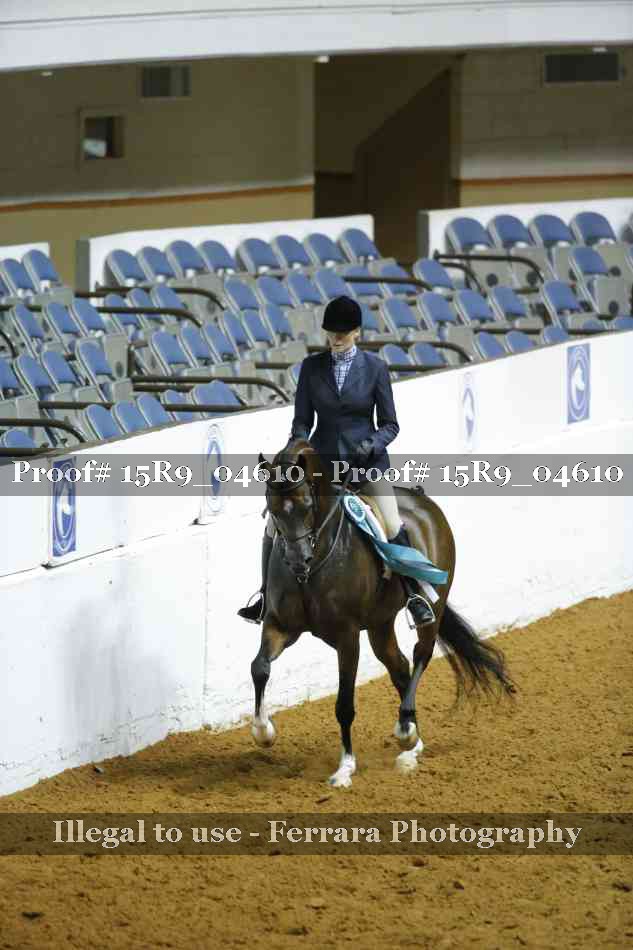 Proof Number 15R9_04610
