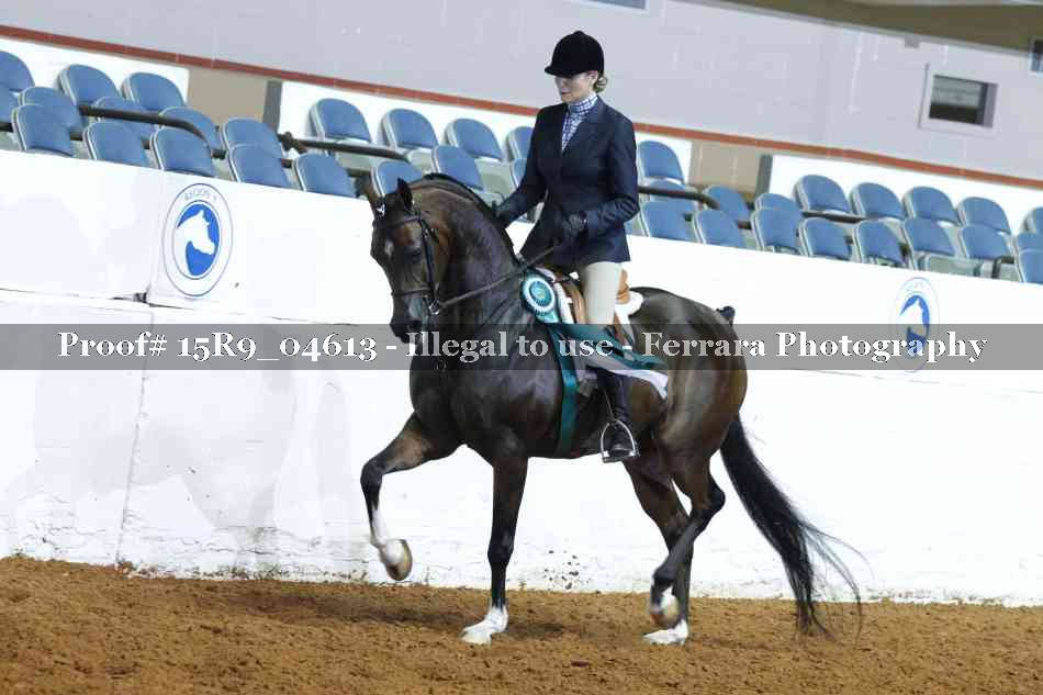 Proof Number 15R9_04613