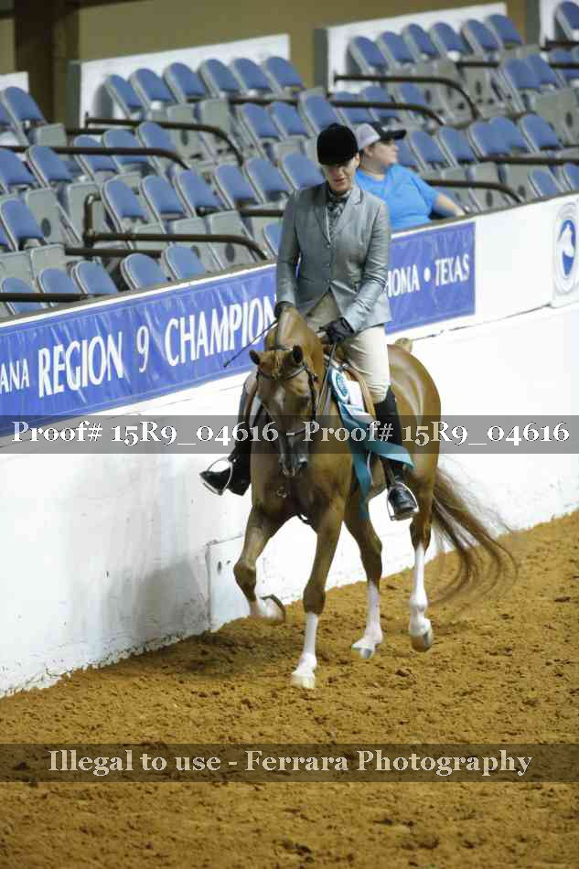 Proof Number 15R9_04616