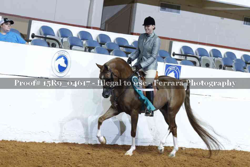 Proof Number 15R9_04617
