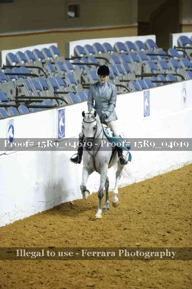 Proof Number 15R9_04619