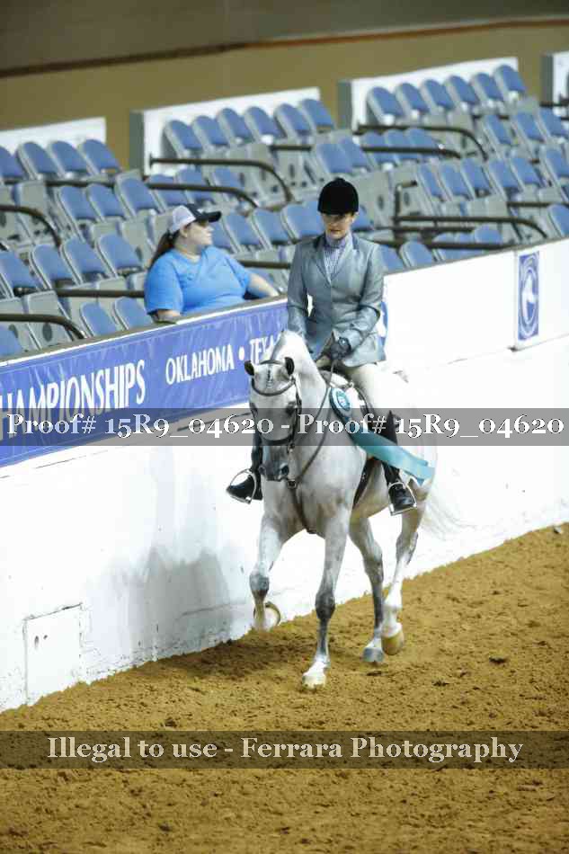 Proof Number 15R9_04620