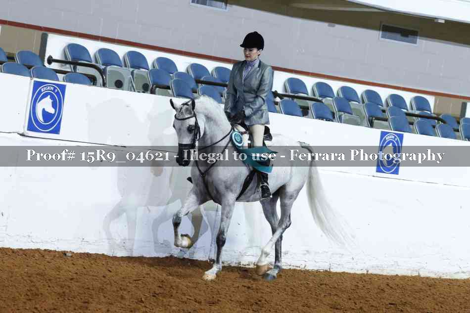 Proof Number 15R9_04621