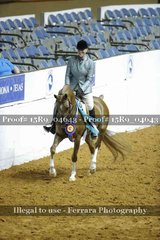 Proof Number 15R9_04643