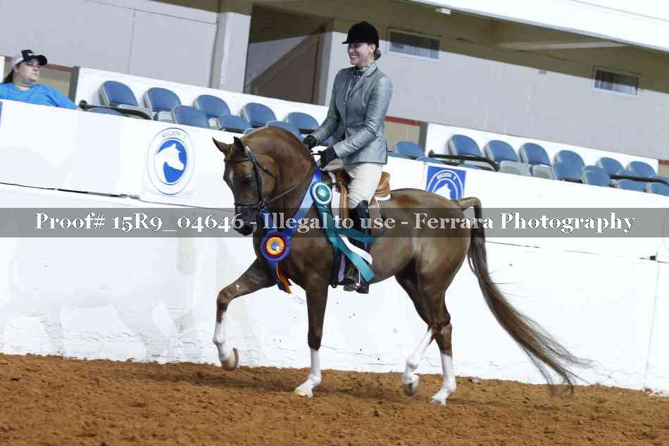 Proof Number 15R9_04646