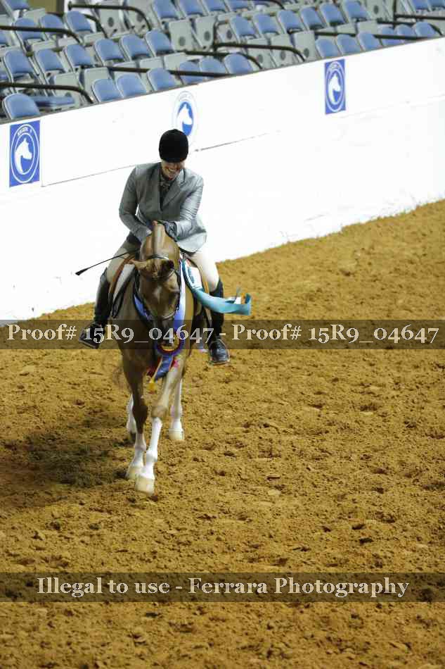 Proof Number 15R9_04647