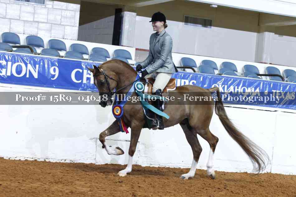 Proof Number 15R9_04648