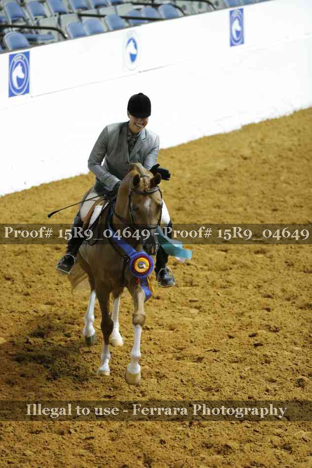 Proof Number 15R9_04649