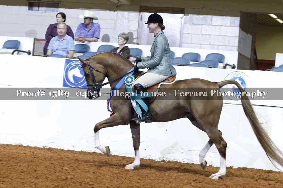 Proof Number 15R9_04651