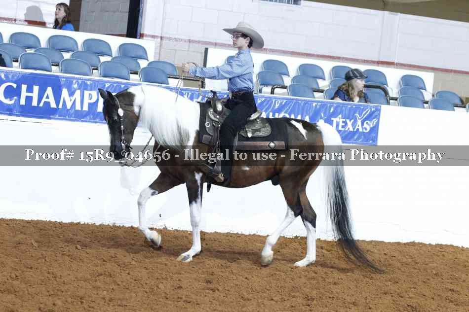 Proof Number 15R9_04656