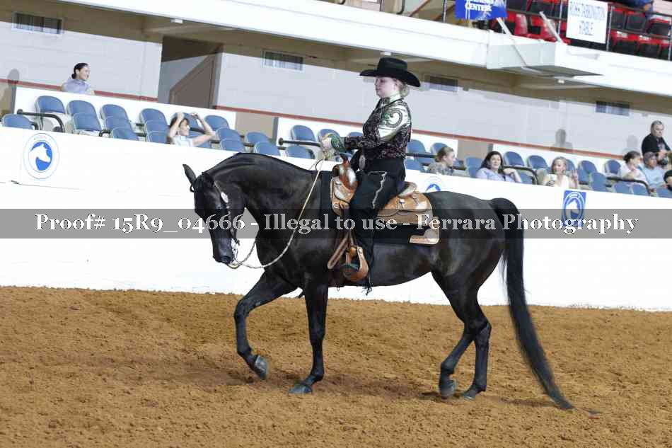 Proof Number 15R9_04666