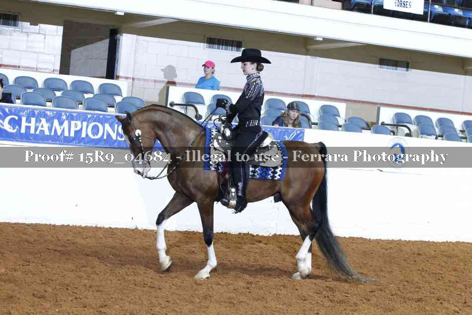 Proof Number 15R9_04684