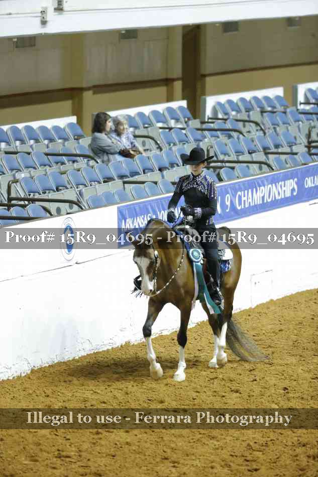 Proof Number 15R9_04695