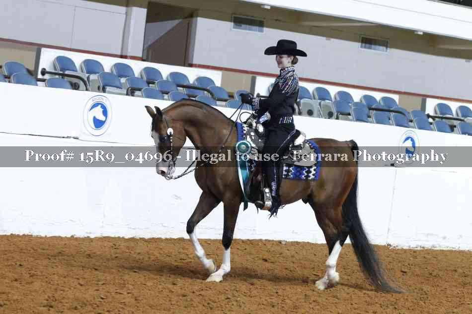 Proof Number 15R9_04696