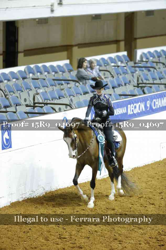 Proof Number 15R9_04697