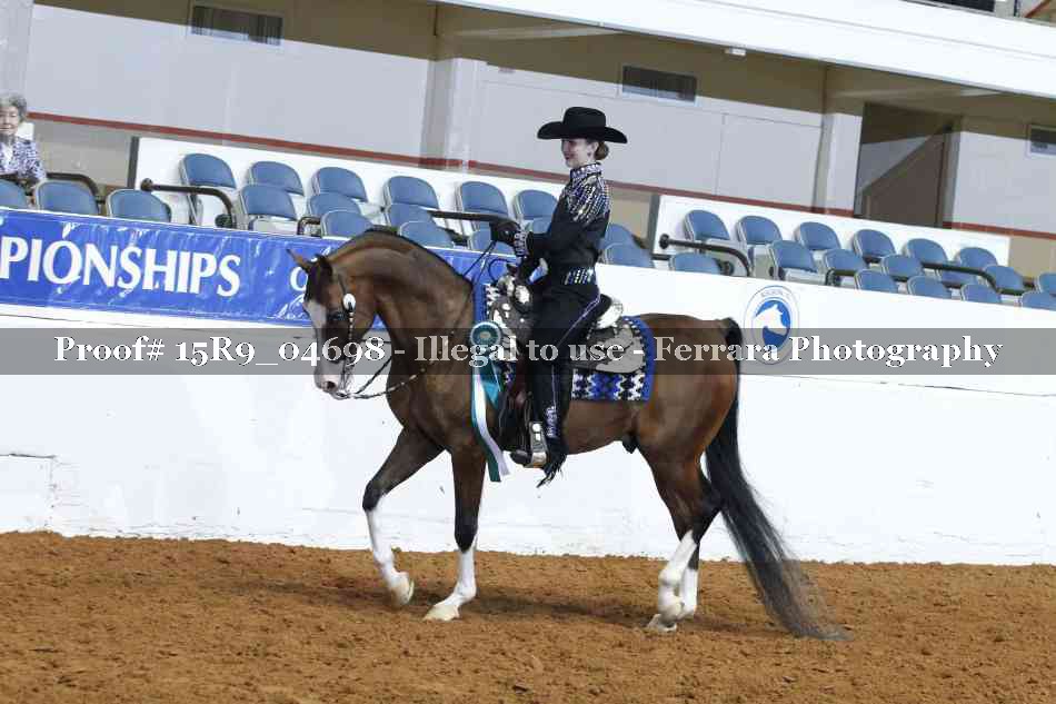 Proof Number 15R9_04698