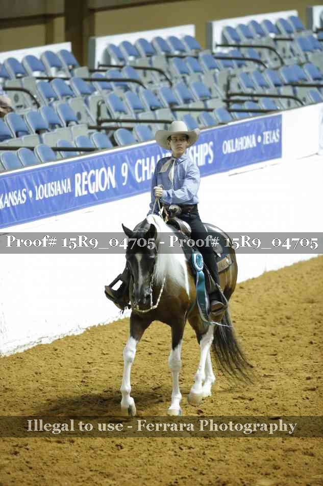 Proof Number 15R9_04705