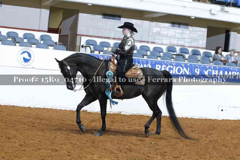 Proof Number 15R9_04710