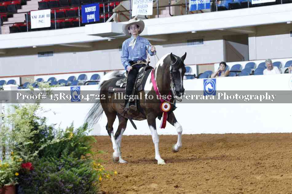 Proof Number 15R9_04722