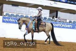15R9_04730 thumbnail