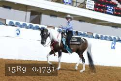 15R9_04731 thumbnail