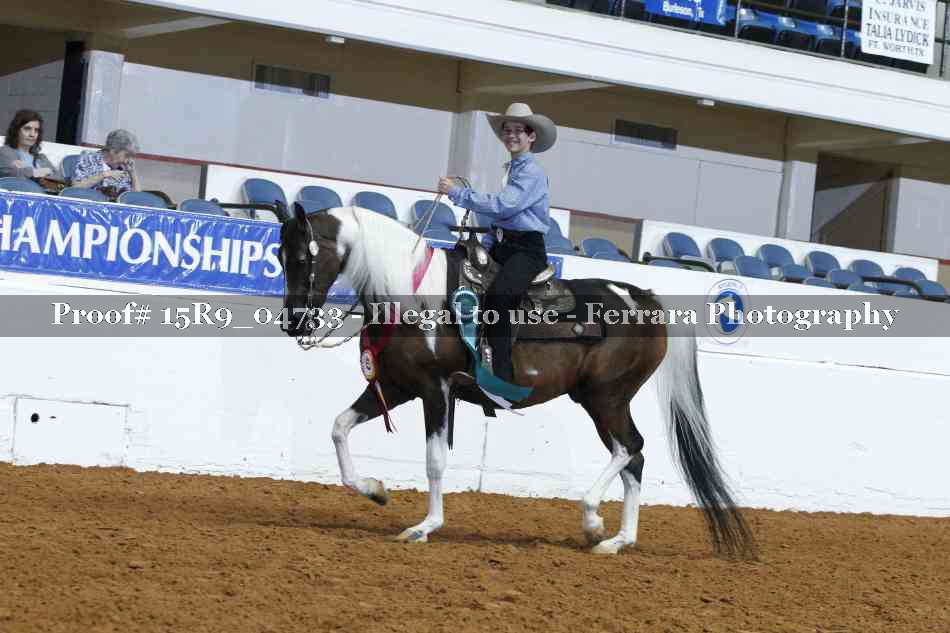 Proof Number 15R9_04733