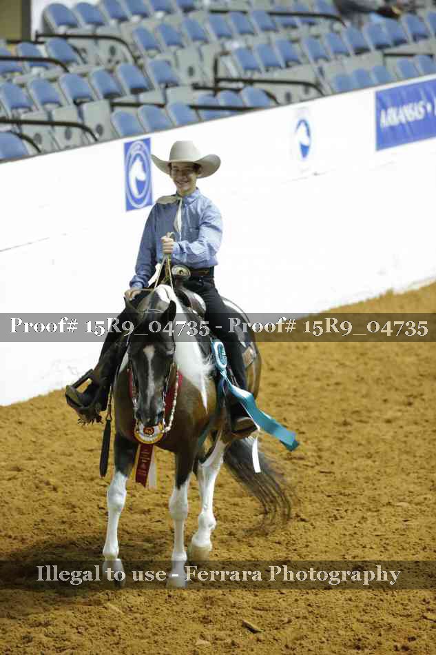 Proof Number 15R9_04735