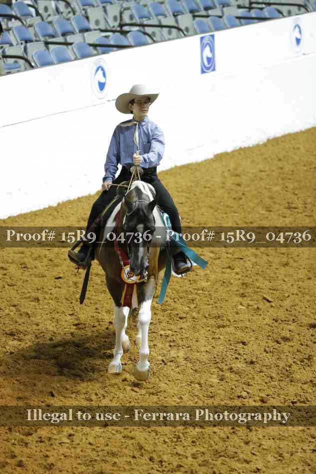 Proof Number 15R9_04736