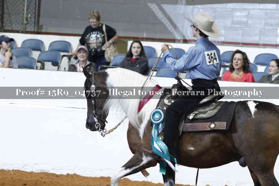 Proof Number 15R9_04737