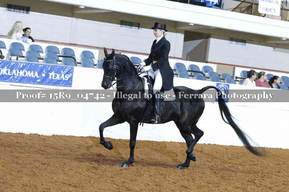 Proof Number 15R9_04742
