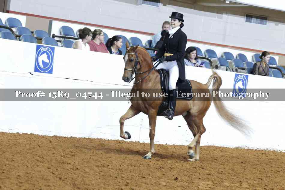 Proof Number 15R9_04744