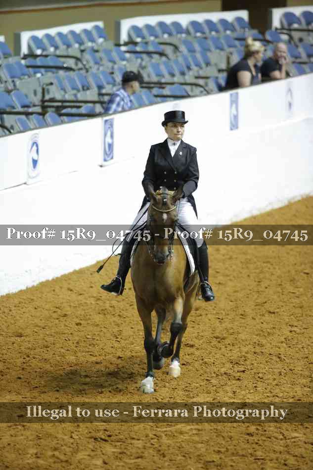Proof Number 15R9_04745