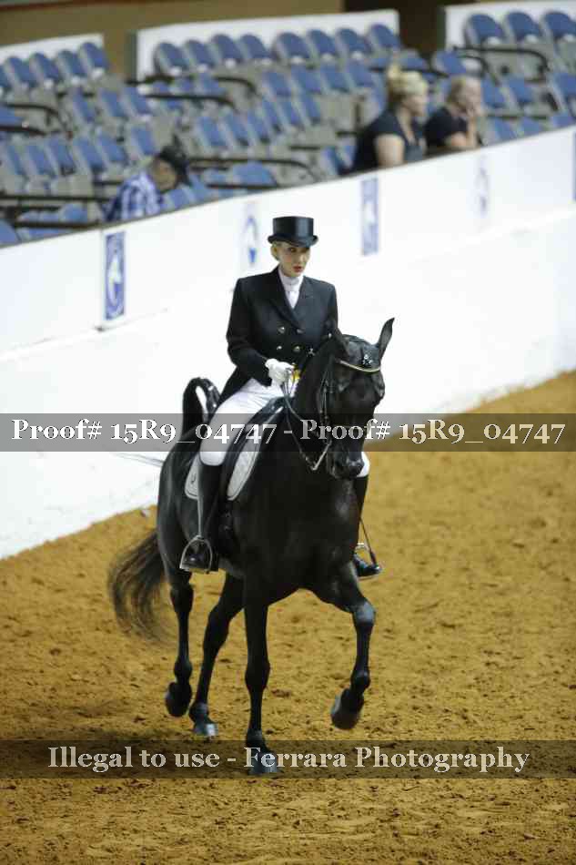 Proof Number 15R9_04747
