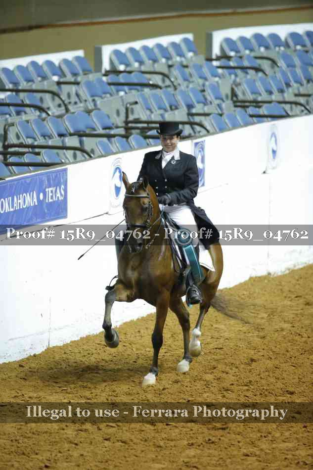 Proof Number 15R9_04762
