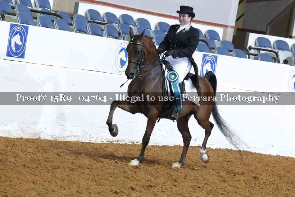 Proof Number 15R9_04764